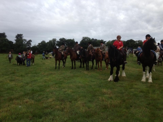  Lecciones de equitación en Hurst Green Shires Trekking 